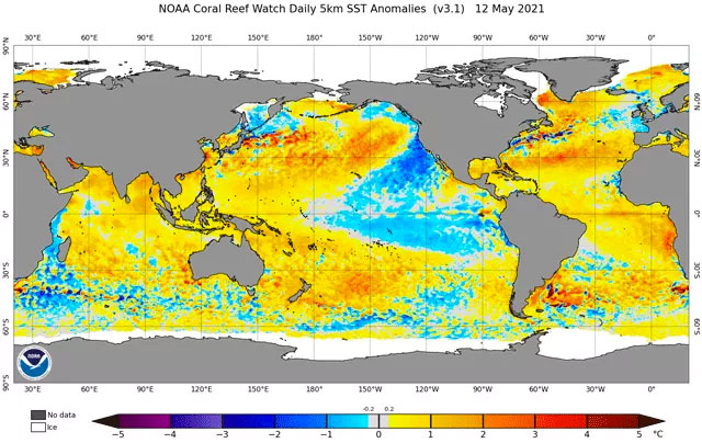外貿訂單提振 鵝絨行情向上浮動 外貿訂單提振 鵝絨行情向上浮動